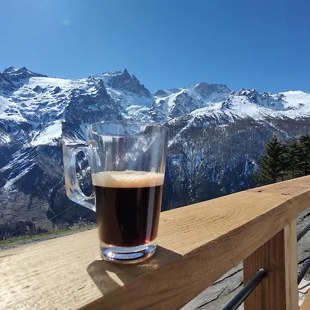 La Gave/la Meije Chalet *